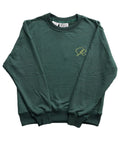 Small and Rare green cotton crewneck sweatshirt with relaxed fit, ribbed neckline and long sleeves in vibrant forest green